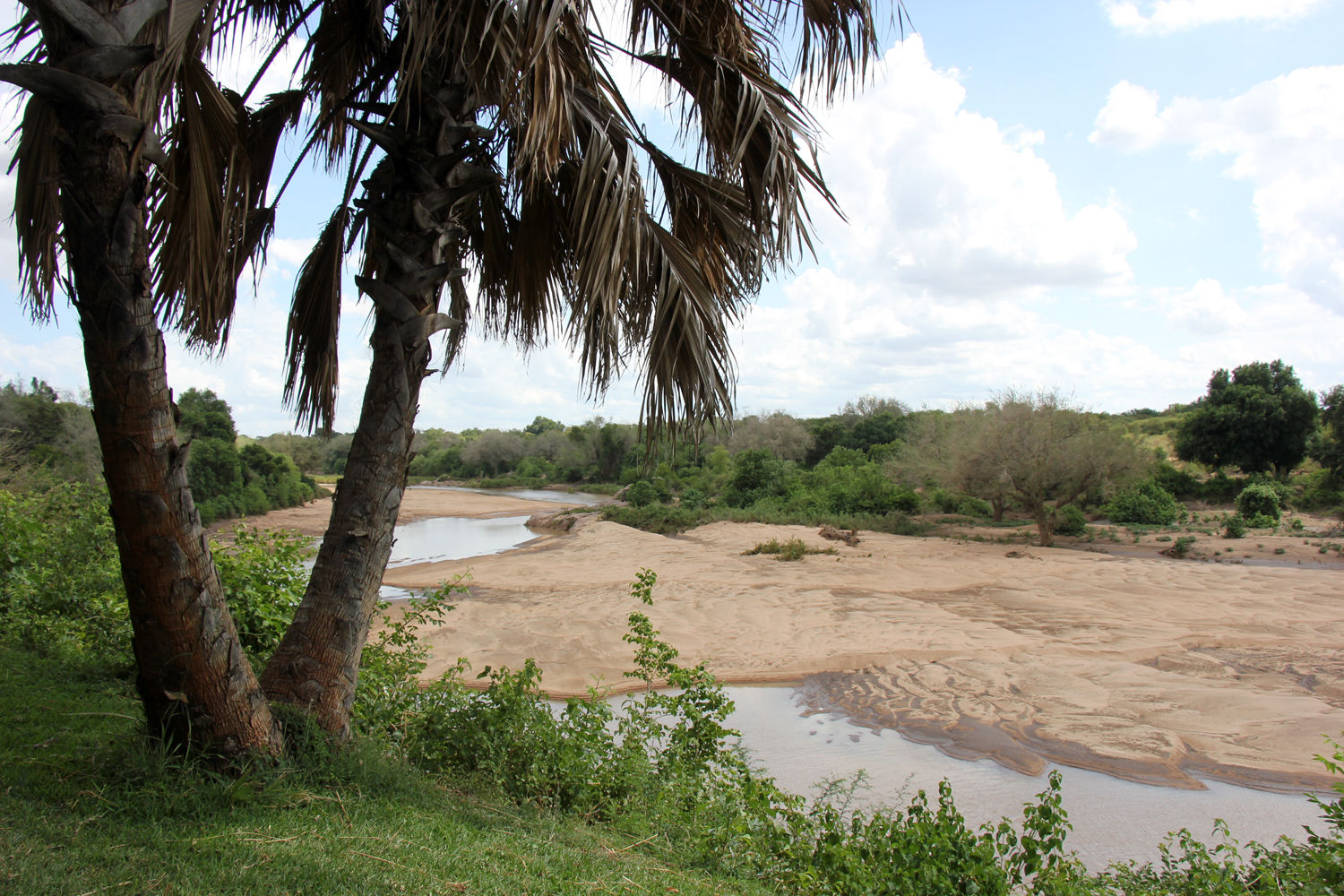 Muster Farben Formen Simbabwes Naturdesign 18