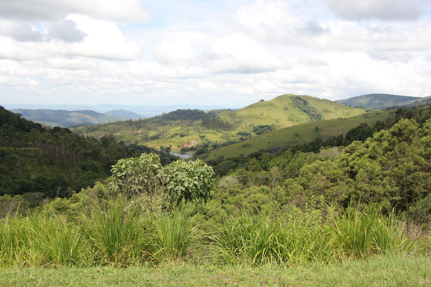 Muster Farben Formen Simbabwes Naturdesign 20