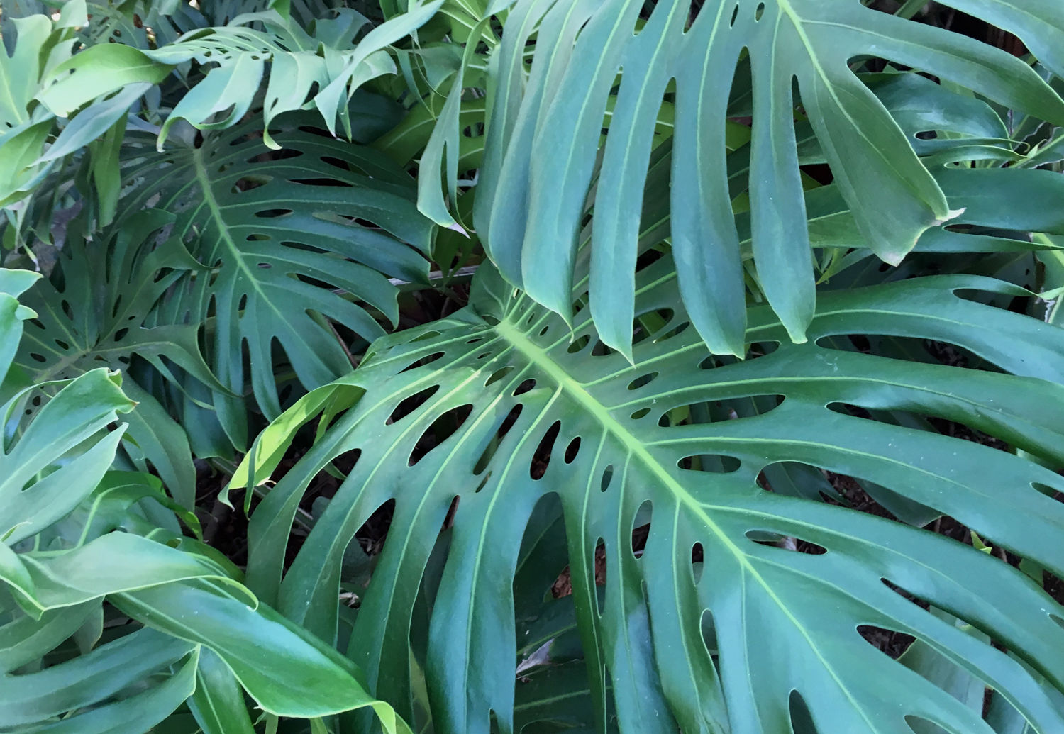 Muster Farben Formen Simbabwes Naturdesign 10