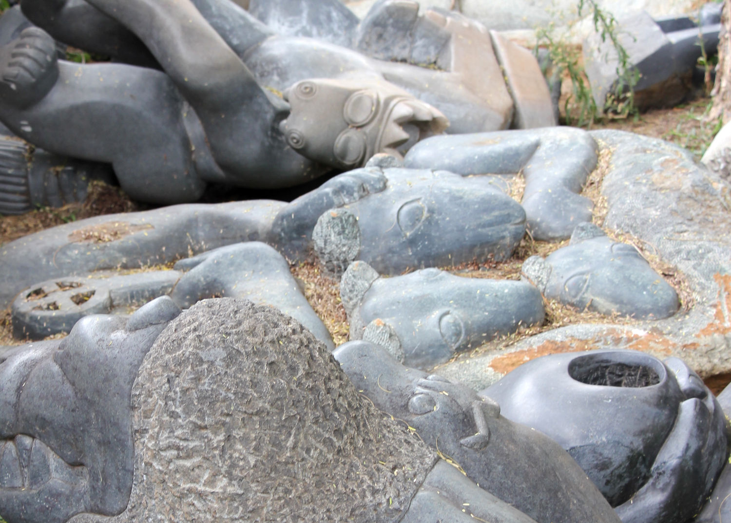 Muster Farben Formen Simbabwes Naturdesign 16