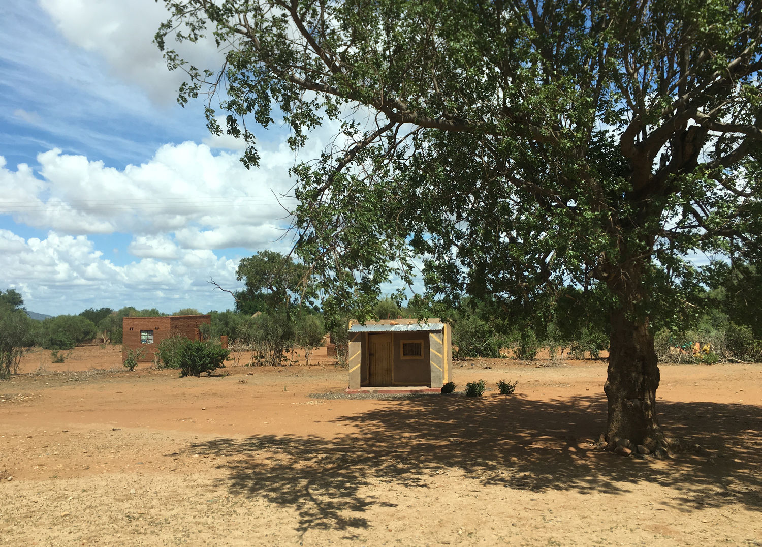 Muster Farben Formen Simbabwes Naturdesign 17