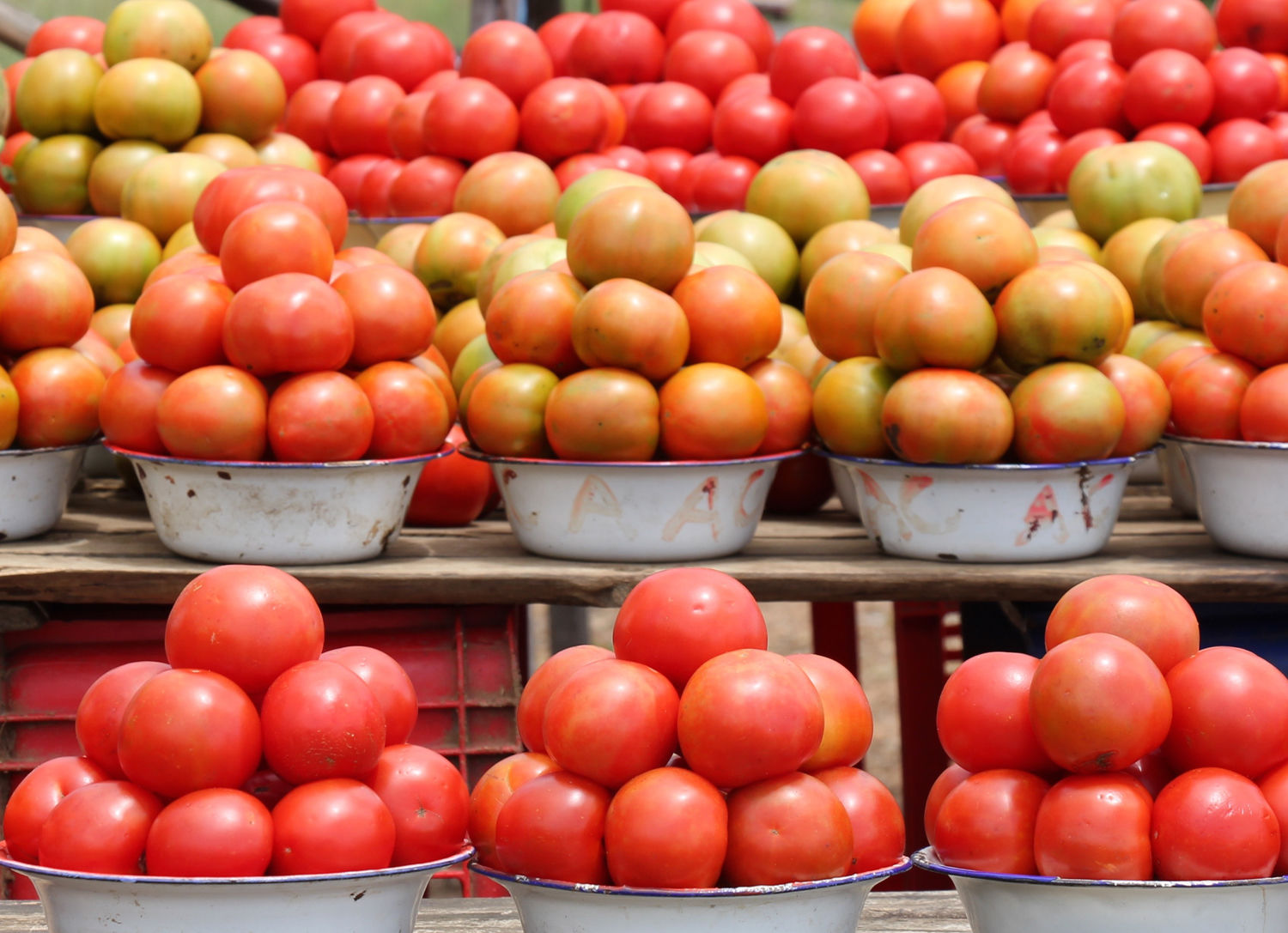 Muster Farben Formen Simbabwes Naturdesign 13