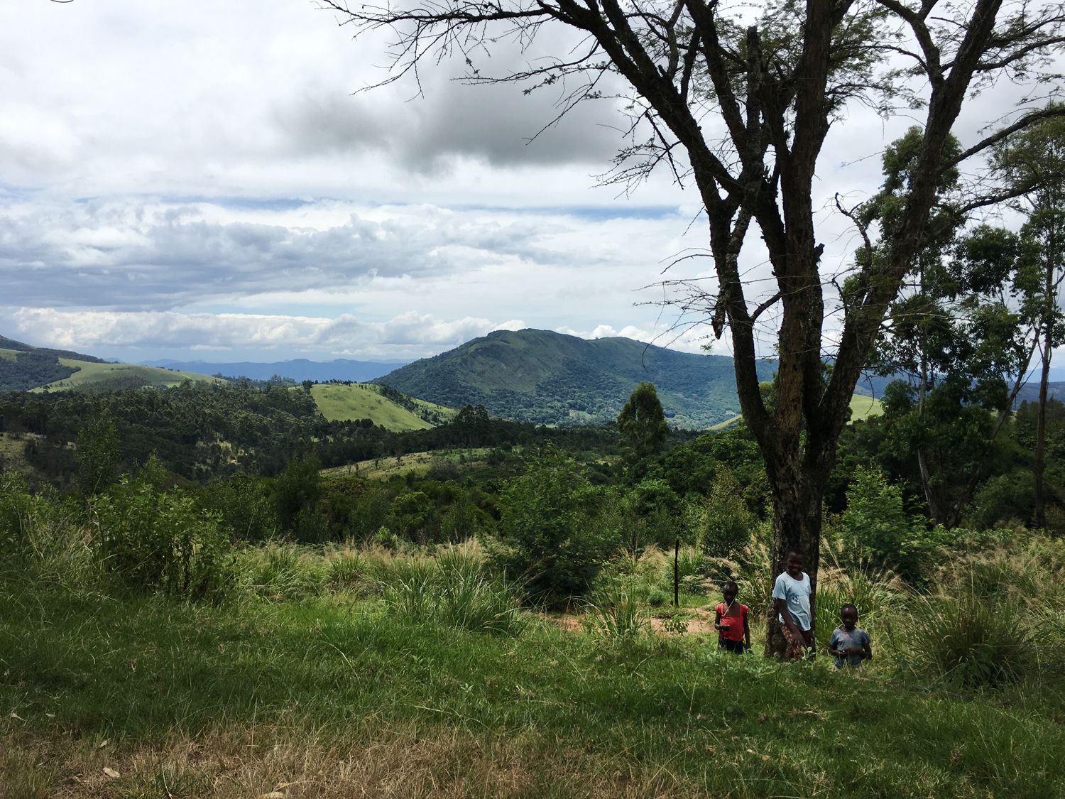 Muster Farben Formen Simbabwes Naturdesign 22