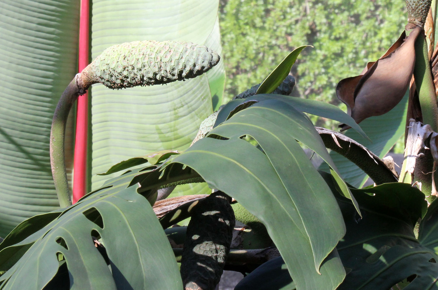 Muster Farben Formen Simbabwes Naturdesign 5