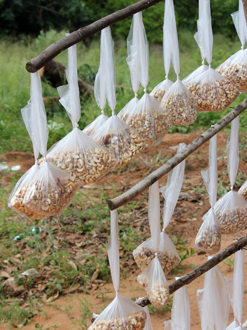 Travel Edition 2 Maputo Mosambik 21