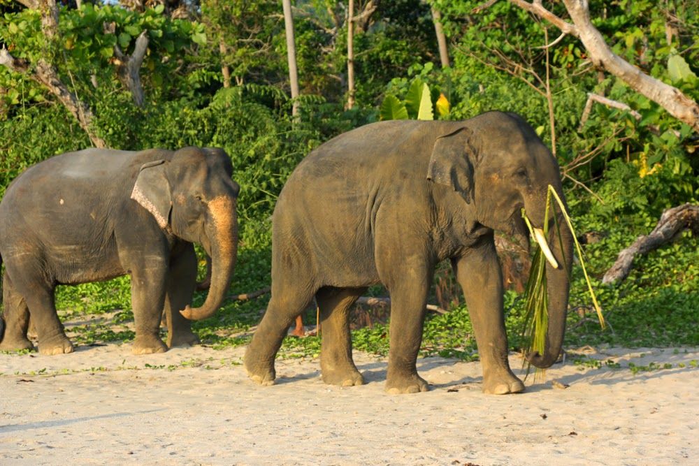 Travel Edition 4 Bamboo Bay Koh Lanta 13