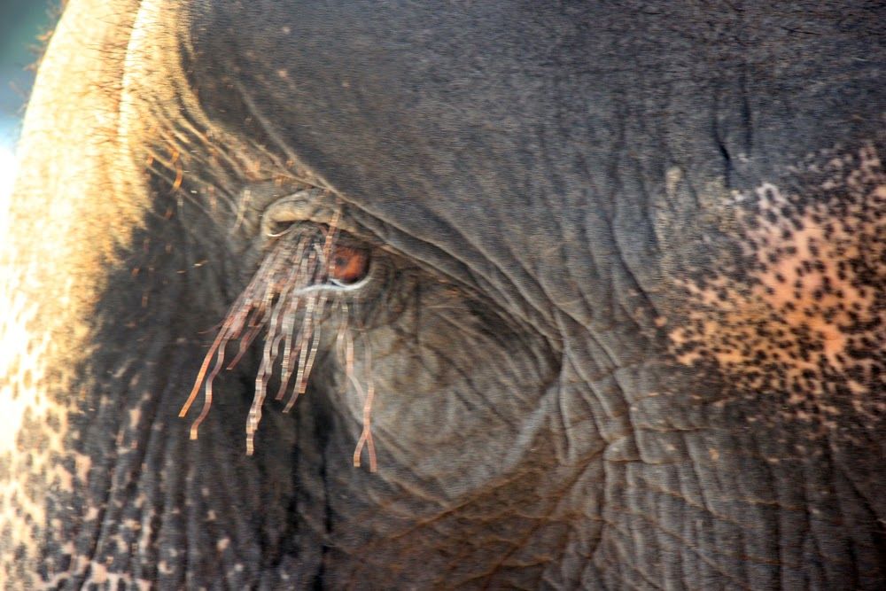 Travel Edition 4 Bamboo Bay Koh Lanta 14