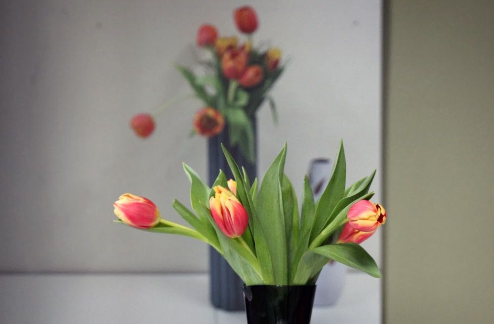 Tulips Reverse 2