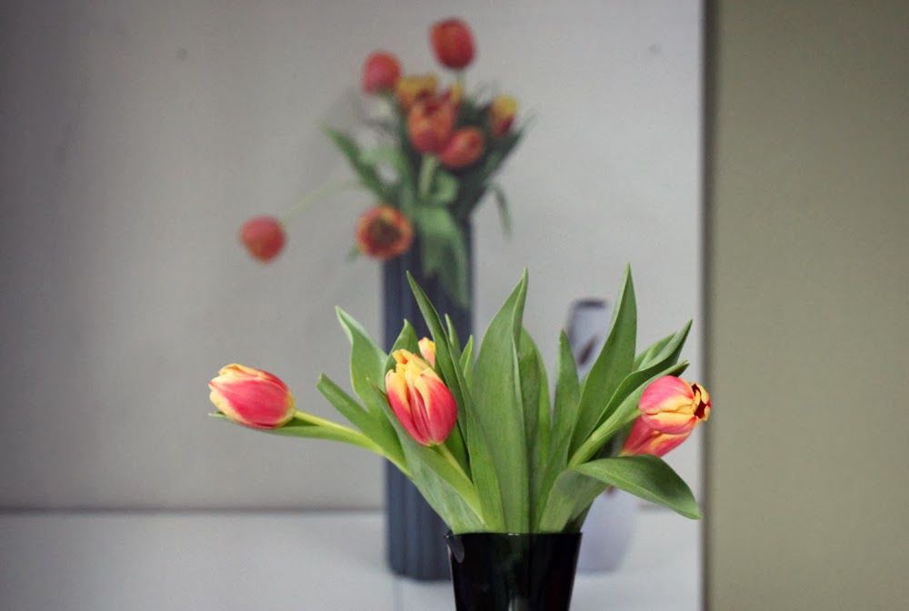 Tulips Reverse 2