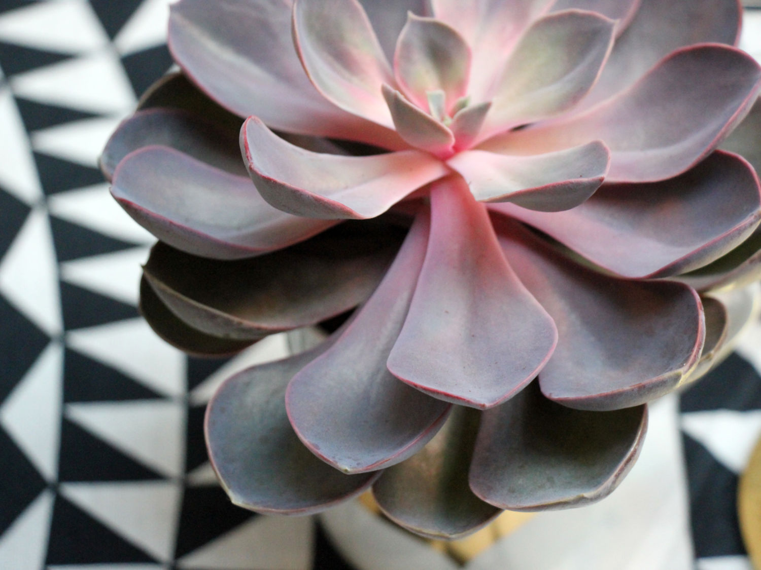 Vitra Summer Dinner At Hallesches Haus Berlin 6